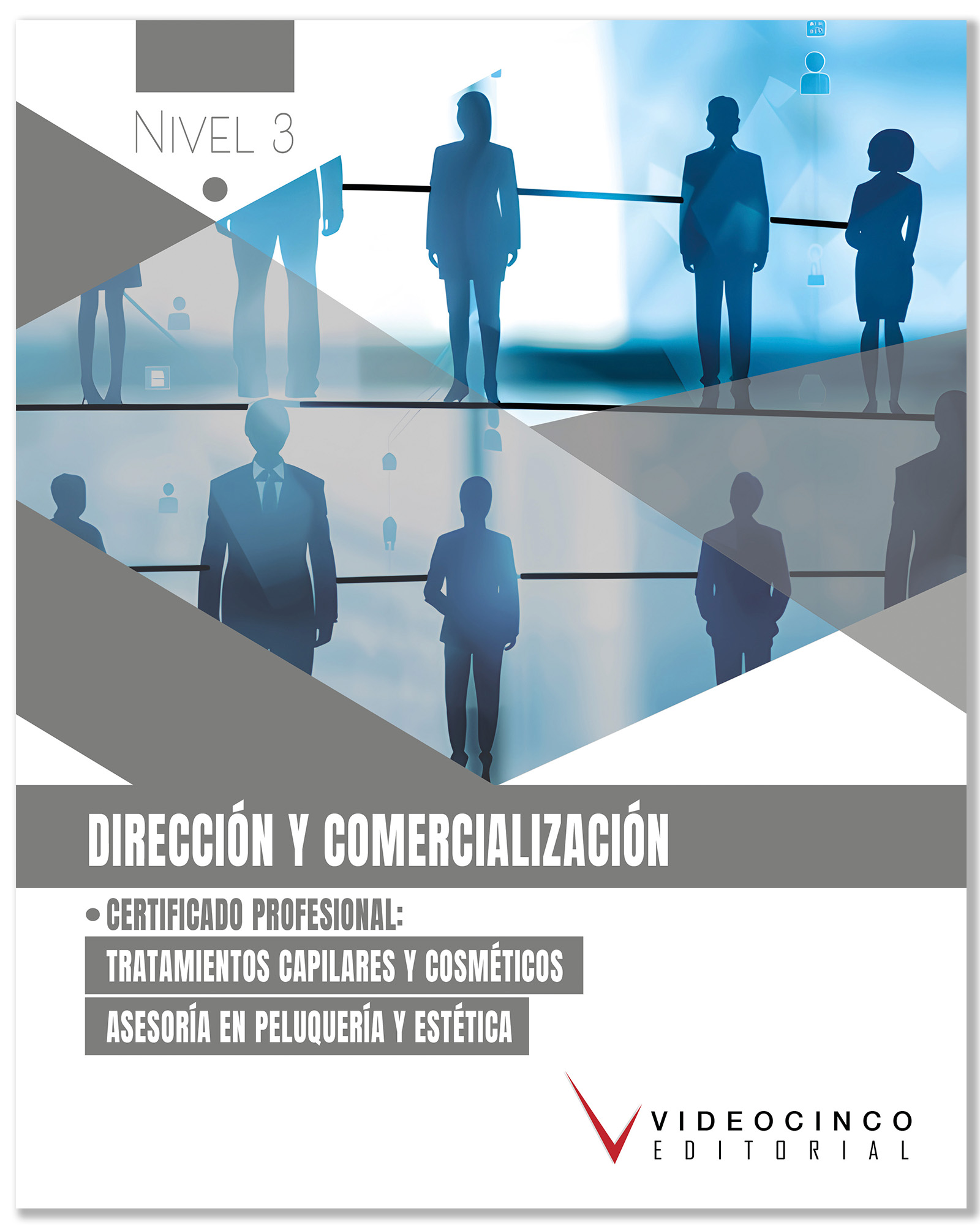 Dirección y comercialización