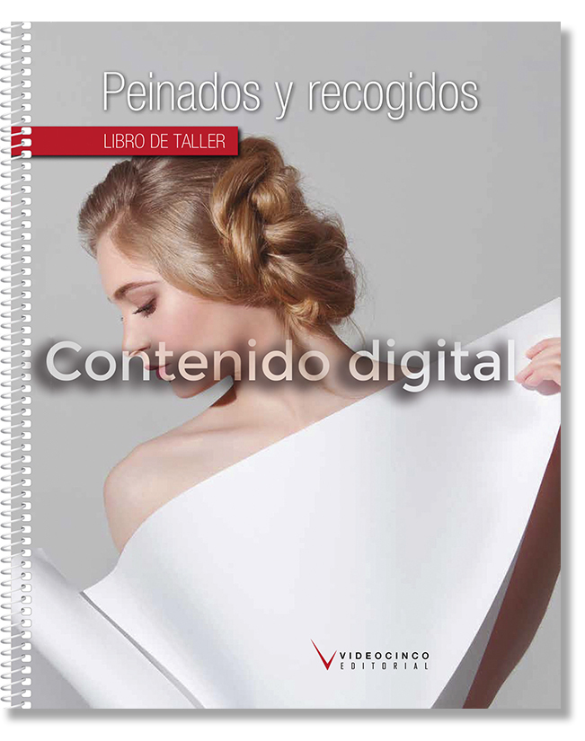 LD- Peinados y recogidos (libro de taller)